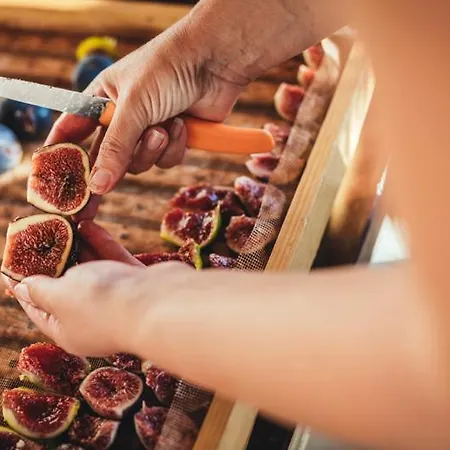 Eco Farm Marima * Gračišče