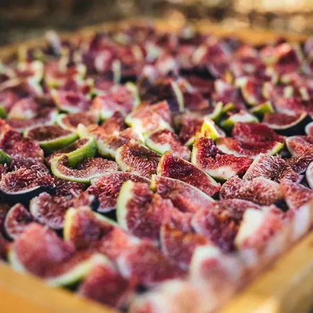 Eco Farm Marima * Gračišče