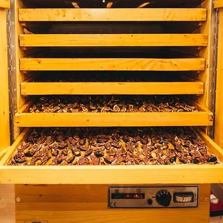 Eco Farm Marima * Gračišče