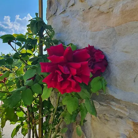 Eco Farm Marima Daire Gračišče