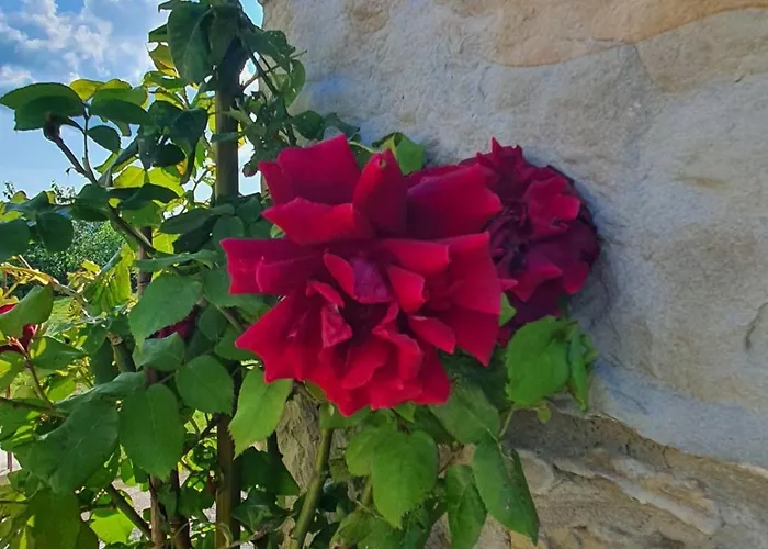 Eco Farm Marima דירה Gračišče